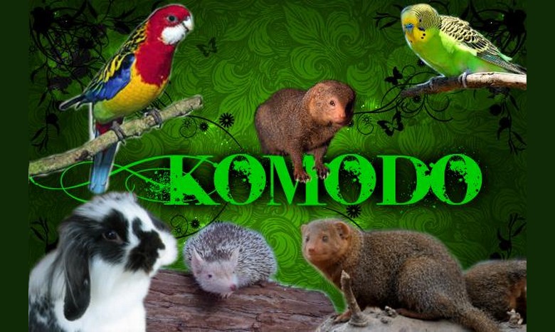 .:KOMODO:.